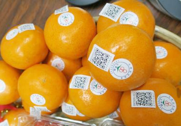 農(nóng)產(chǎn)品水果標(biāo)簽